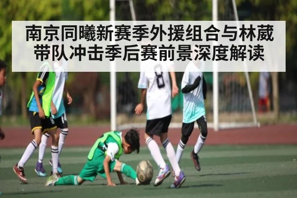 南京同曦新赛季外援组合与林葳带队冲击季后赛前景深度解读 | kaiyun